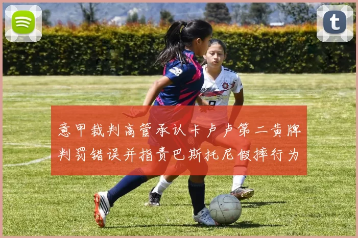 意甲裁判高管承认卡卢卢第二黄牌判罚错误并指责巴斯托尼假摔行为