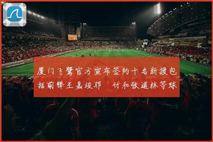 厦门飞鹭官方宣布签约十名新援包括前锋王嘉竣邓棽竹和张道林等球员
