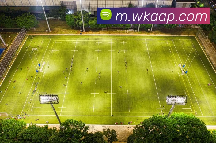 悟空体育APPAPP 高清赛事图